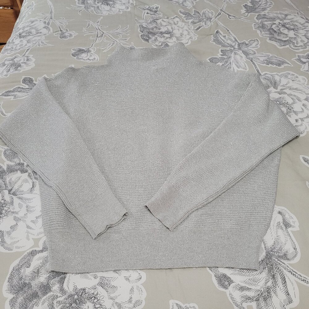 Premise Silver Mock Neck Pull Over Raglan Sleeve Oversize Sweater SIze Small NWT